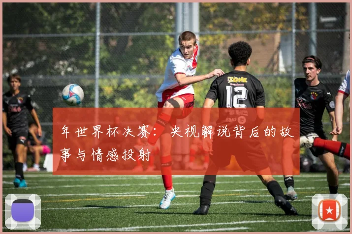 年世界杯决赛：央视解说背后的故事与情感投射