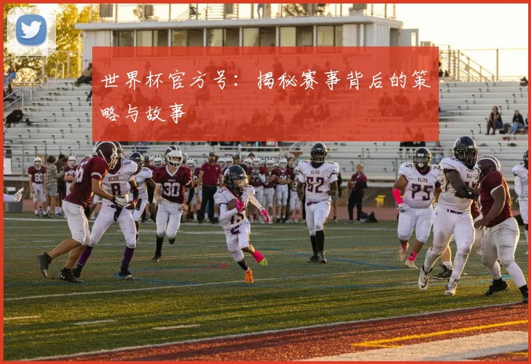 世界杯官方号:揭秘赛事背后的策略与故事