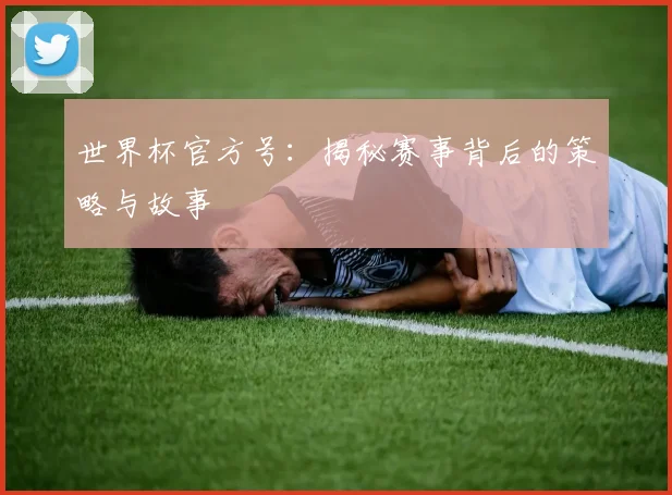 世界杯官方号:揭秘赛事背后的策略与故事