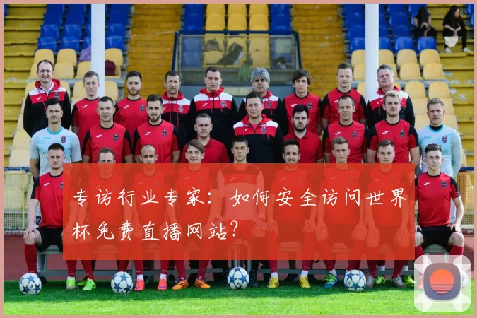 专访行业专家：如何安全访问世界杯免费直播网站？