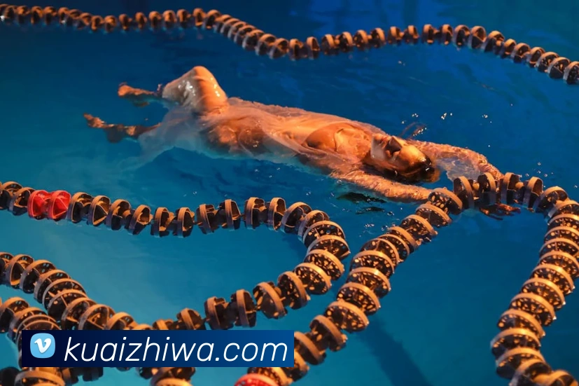 开云手机在线登录界面APP 封面图